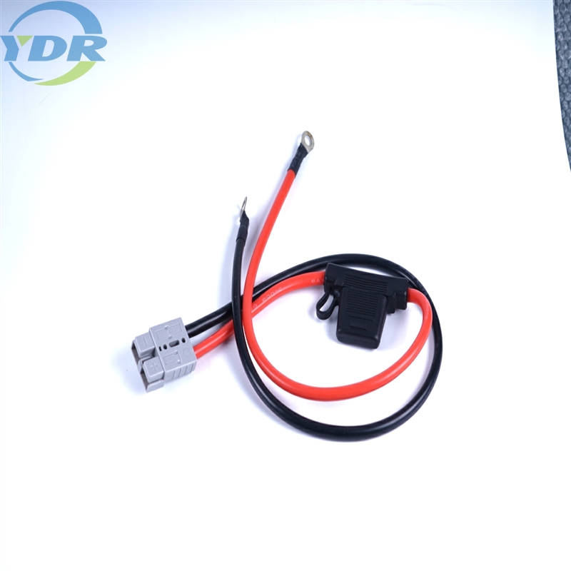 Khai thác dây Anderson tùy chỉnh